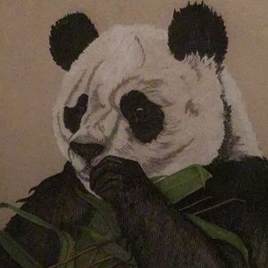 Meet your Posher, Allyn